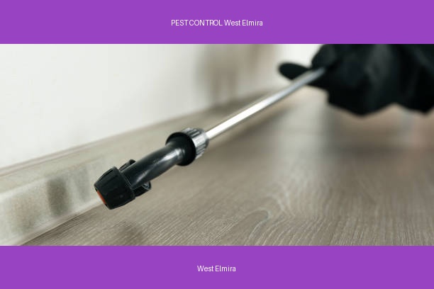 PEST CONTROL West Elmira